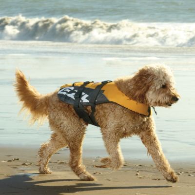 Dog Flotation Device Frontgate