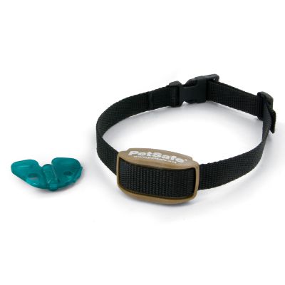 Indoor dog collar hotsell