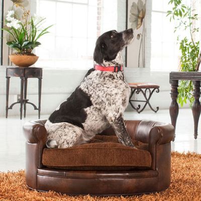 Lucky Pet Bed Frontgate