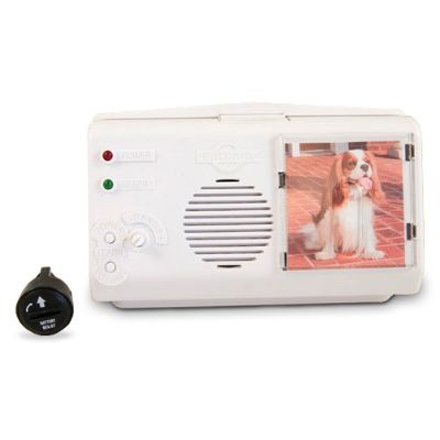 Smart Pet Doorbell Frontgate