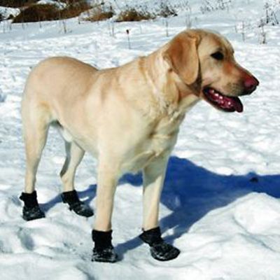 TrAction Dog Boots Frontgate