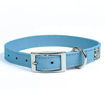 Brazilian Leather Collar | Frontgate