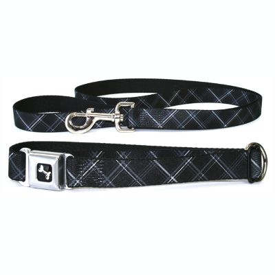 Black & Gray Dog Collar & Leash Set Frontgate