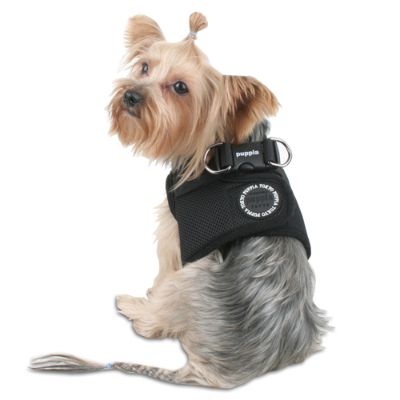 Soft Pet Harness Vest | Frontgate