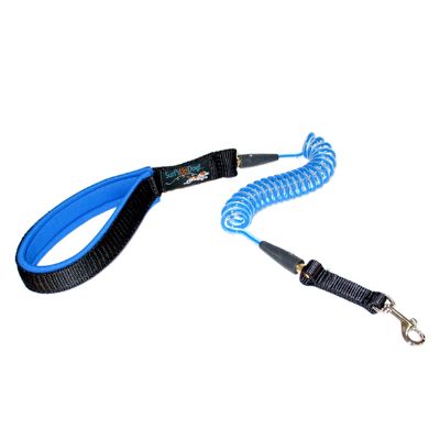Coil Dog Leash Frontgate