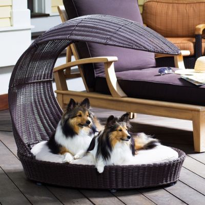 Outdoor Dog Chaise Lounger Frontgate