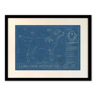 dog blueprint pillow