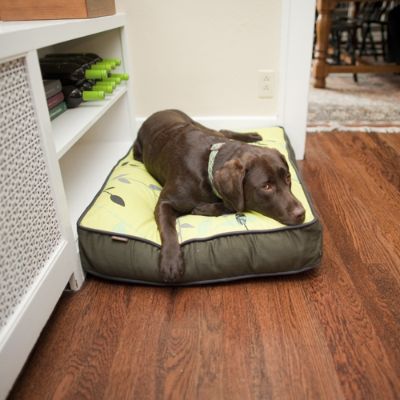 Rectangular Greenery Pet Bed Frontgate