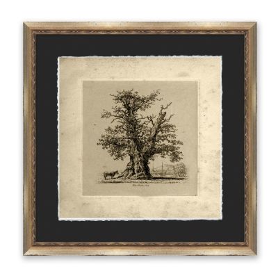 The Shelton Oak Wall Art | Frontgate