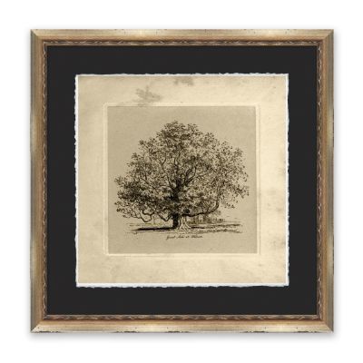 Great Ash at Woburn Wall Art | Frontgate