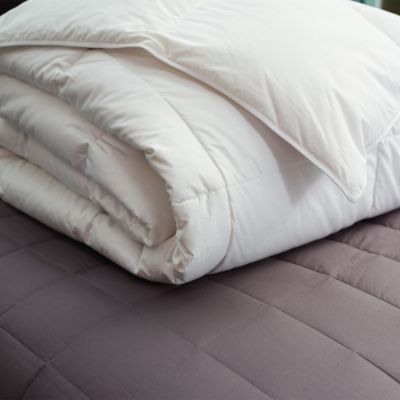 Allseason Comforters Frontgate