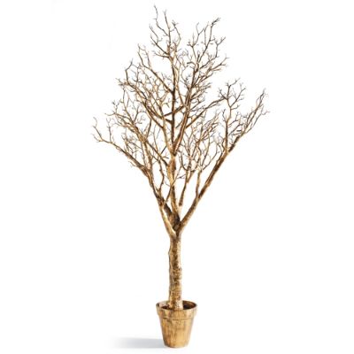 6' Gold Manzanita Branch Tree in Pot Frontgate