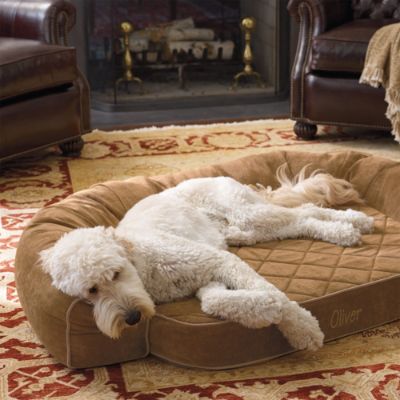 Frontgate dog couch best sale