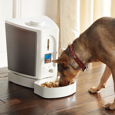 Pet Feedster Automatic Pet Feeder | Frontgate