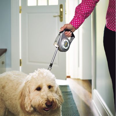 Mod retractable dog leash with light hotsell