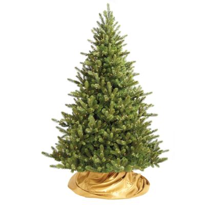 Balsam Fir Christmas Trees 