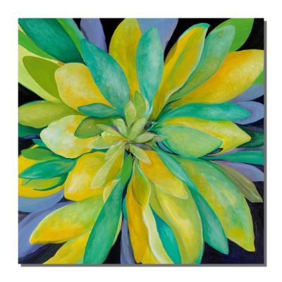 Flower Burst Canvas Wall Art Frontgate