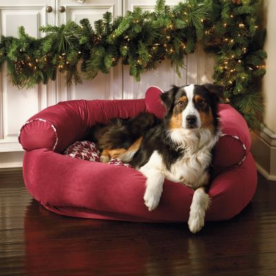 Frontgate comfy shop couch pet bed