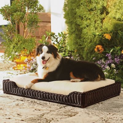 Outdoor Pet Bed with Cushion Frontgate
