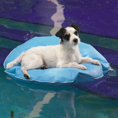 Water float clearance for dogs