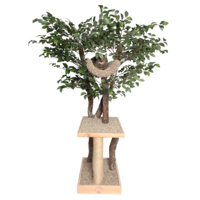 Deluxe Seedling Cat Tree House Frontgate