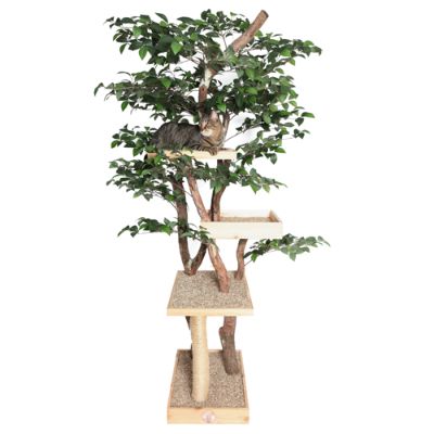 Cat treehouse best sale