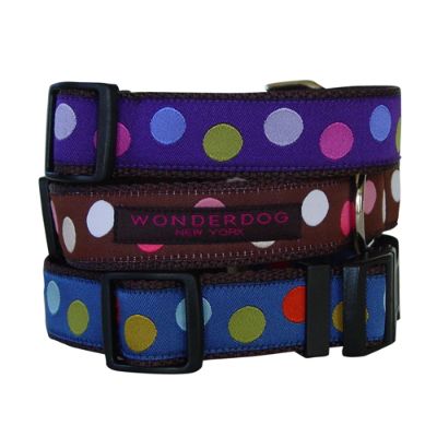 Polka Dot Dog Collar and Lead Frontgate