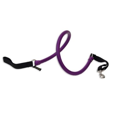 Shockabsorbing Dog Leash Frontgate