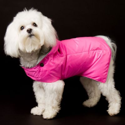 Down filled dog store coat