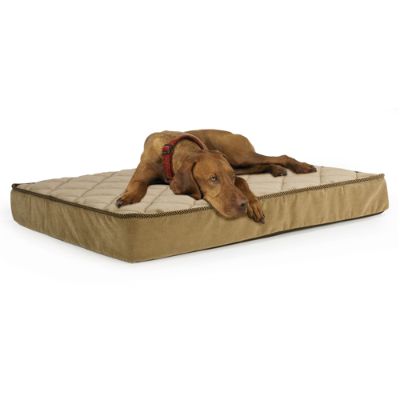 Quilted Rectangle Dog Bed Frontgate