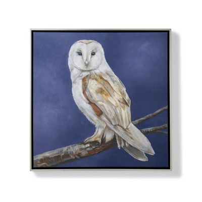 Pacific Barn Owl Giclée Print | Frontgate