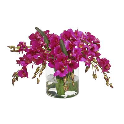 Dendrobium In Cylinder Vase 