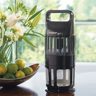 Dynatrap® Indoor Insect Trap