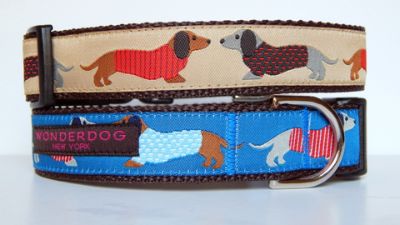 Daschund Dog Collar & Lead Frontgate