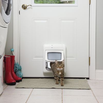 Passport Pet Access Smart System Door