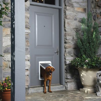 Passport Pet Access Smart System Door | Frontgate