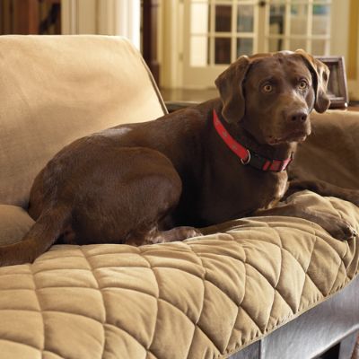 Cozy Pet Furniture Covers