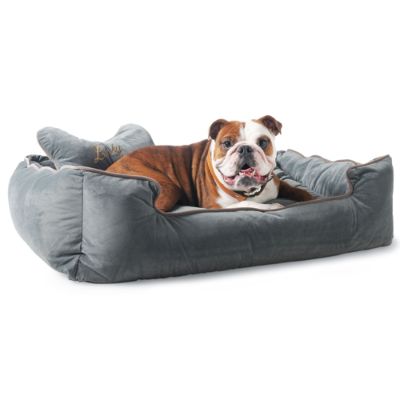 Frontgate dog beds hotsell