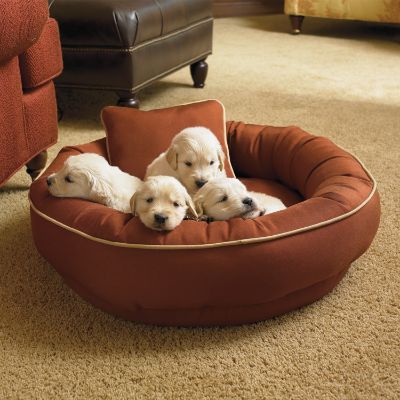 Large chew resistant dog bed hotsell