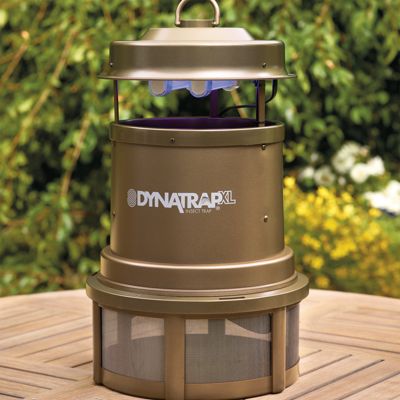 Getting Rid of Annoying Flying Pests Outside with Dynatrap