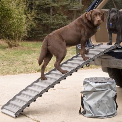 Roll Up Dog Ramp | Frontgate