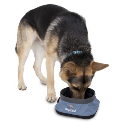 Travel Dog Bowl Frontgate