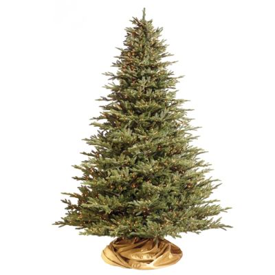 Fraser Fir - America's Premium Christmas Tree