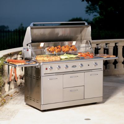 52inch Stainless Steel Grill on Cart Frontgate