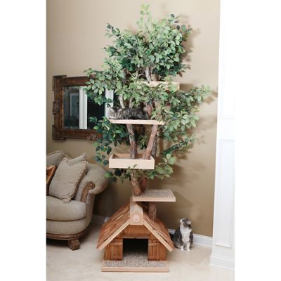 Mature Cat Tree House 